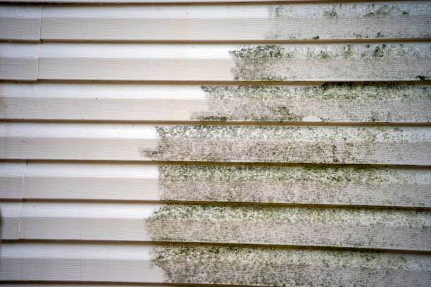 Best Insulated Siding Installation  in Loxley, AL
