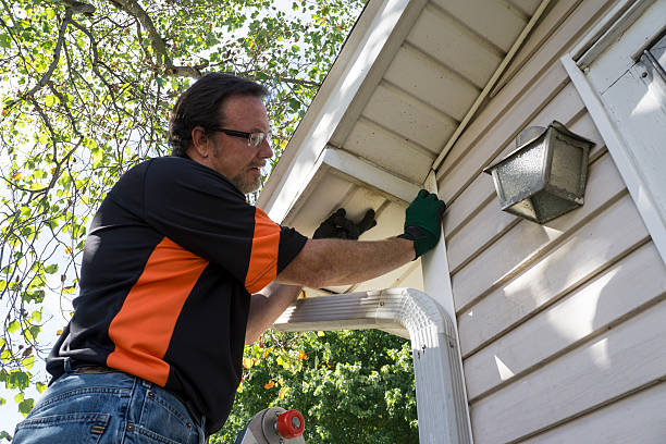 Best Siding Painting and Refinishing  in Loxley, AL